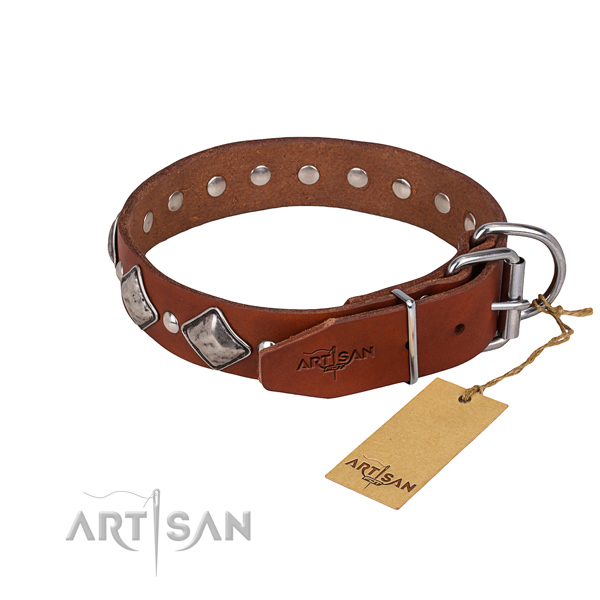Natural leather dog collar with polished surface