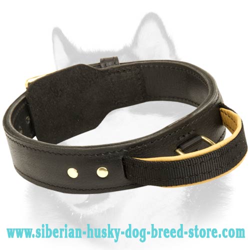 ... leather collar for siberian husky agitation training leather collar ... leather collar for siberian husky agitation training leather collar
