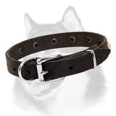 Durable rust-proof nickel fittings of leather Siberian Husky collar