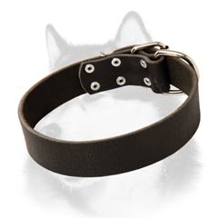 Obedience training Siberian Husky leather collar