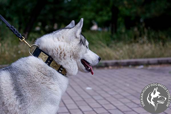 Dependable Siberian Husky genuine leather collar
