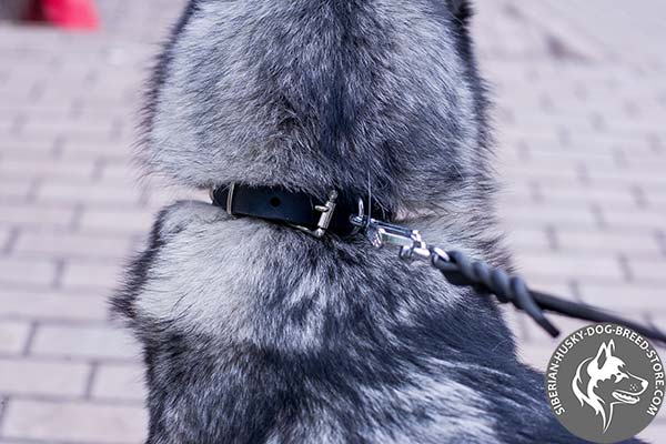 Durable Siberian Husky collar
