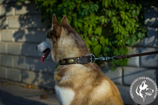 Easy to fit genuine leather Siberian Husky collar