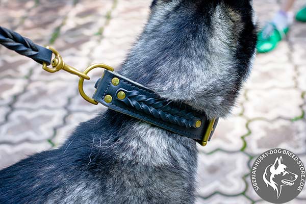 Siberian Husky collar with fixed braided decor