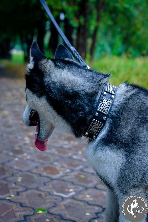 Leather dog collar with manually set adornment