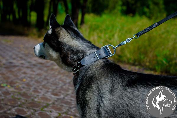 Siberian Husky collar with nickel-plated adjustable buckle