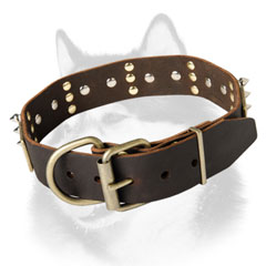 Siberian Husky art dog collar with durable hardware