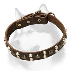 Siberian Husky leather dog collar for walking and  training