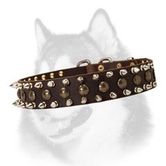 Siberian Husky breed leather dog collar with adornment