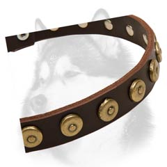 Siberian Husky breed leather dog collar with dotted circles
