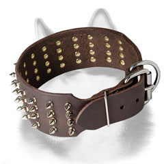 Leather Siberian Husky collar with rust-proof steel hardware