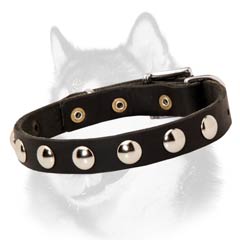 Studded leather Siberian Husky collar