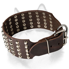 Leather Siberian Husky collar with buckle and D-ring