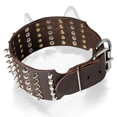 Adorned leather Siberian Husky collar