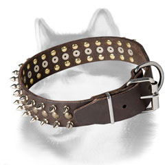 Canine equipment with nickel plated buckle