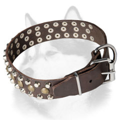 Canine equipment with nickel plated buckle