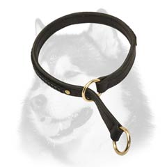 Siberian Husky decorated choke collar