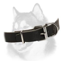 Siberian Husky dog collar with buckle style closure