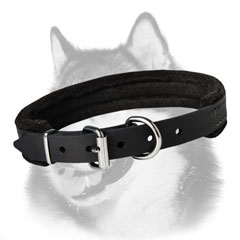 Siberian Husky dog collar with shock absorbing padding