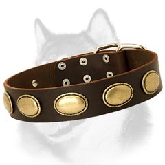 Siberian Husky leather dog collar adorned