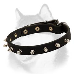 Siberian Husky leather dog collar adorned with handset spikes