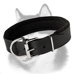 Siberian Husky leather dog collar fully padded