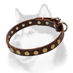 Siberian Husky leather dog collar with beautiful brass  adornment