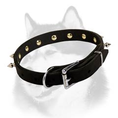 Siberian Husky leather dog collar with beautiful spikes