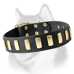Siberian Husky leather dog collar with luxurious plates  adornment
