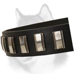 Siberian Husky leather dog collar with nickel plates adornment