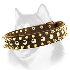 Siberian Husky leather dog collar with shiny decoration