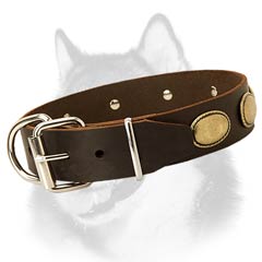 Siberian Husky leather dog collar with steel hardware