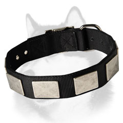 Siberian Husky nylon dog collar with large plates