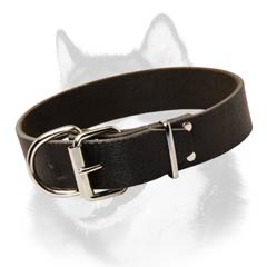Siberian Husky leather collar with solid steel  fittings