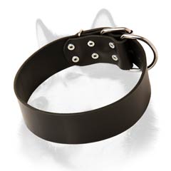 Siberian Husky leather dog collar wide and smooth