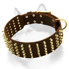 Siberian Husky leather dog collar with numerous spikes decoration