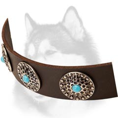 Soft-leather-collar-with-circles decoration