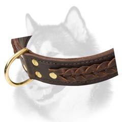 Walking in style leather collar for Husky