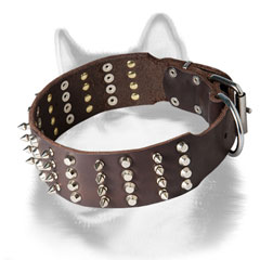 Leather dog collar for Siberian Husky with columns of spikes and pyramids