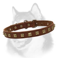 Siberian Husky leather collar narrow with square studs