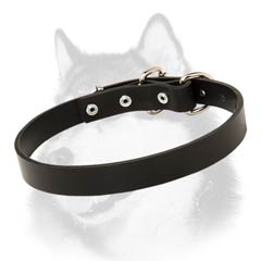 Siberian Husky leather dog collar narrow