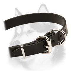 Siberian Husky leather dog collar with steel fittings