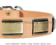 Designer Dog Collar for Siberian husky-Leather Custom Collar Designer Dog Collar for Siberian husky-Leather Custom Collar