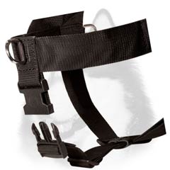 Easy-to-use Siberian Husky nylon harness