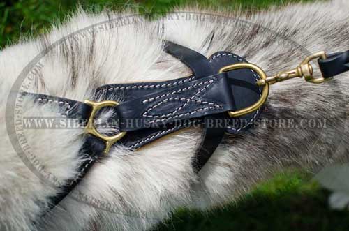 Fashion Husky harness with durable hardware
