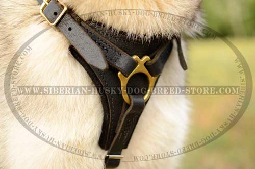 Husky leather dog harness with Y-shaped chest plate