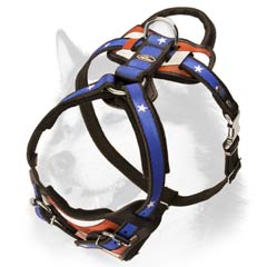 Husky leather harness with patriotic painting