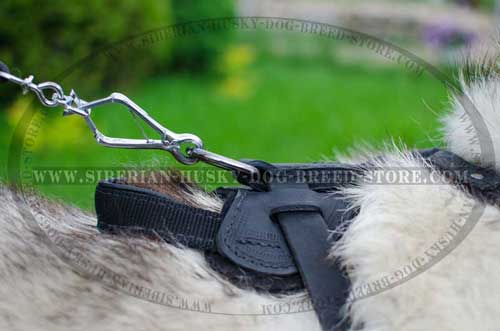Leather dog harness for Husky with durable handle