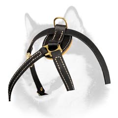 Siberian Husky breed harness with D-ring