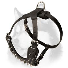 Siberian Husky harness with wide padded chest plate